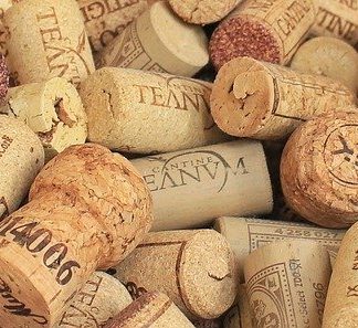 049310 La science des vins_inscription