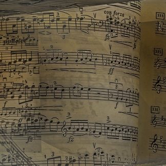 055212 La Musique au cours des siècles_inscription
